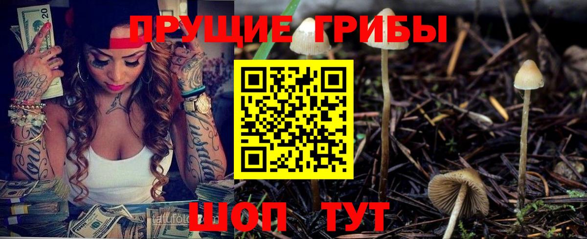 Галлюциногенные грибы прущие грибы Усть-Джегута